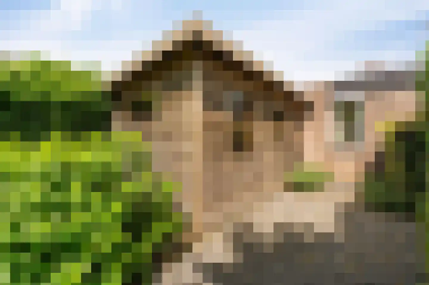 Dokter Jacobzehof 8 Kampen thumbnail 38