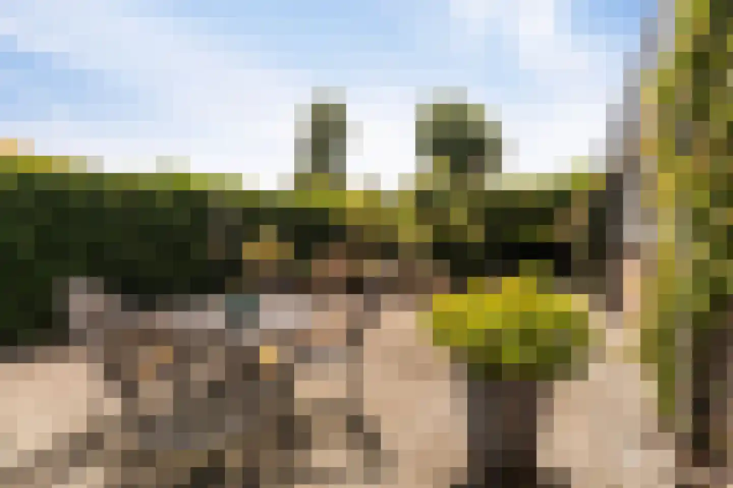 Dokter Jacobzehof 8 Kampen thumbnail 6