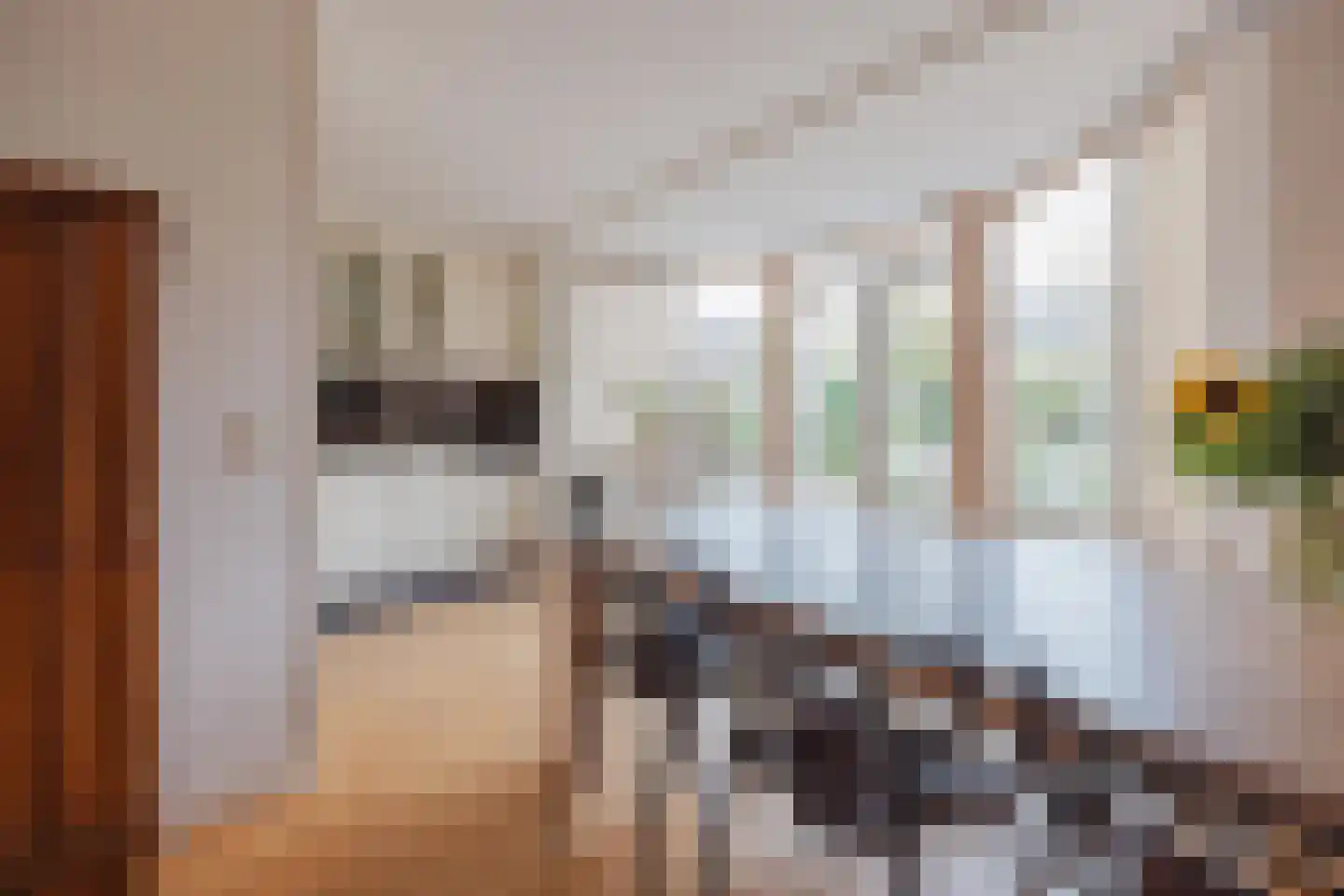 Dokter Jaspershof 5 Geertruidenberg thumbnail 12