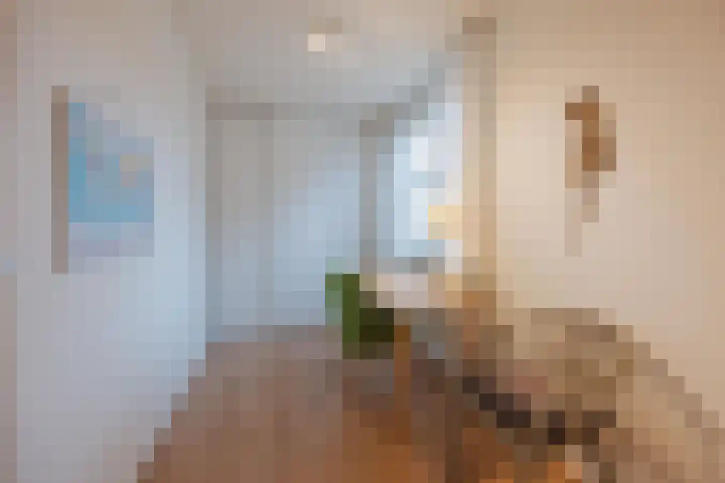 Dokter Jaspershof 5 Geertruidenberg thumbnail 35