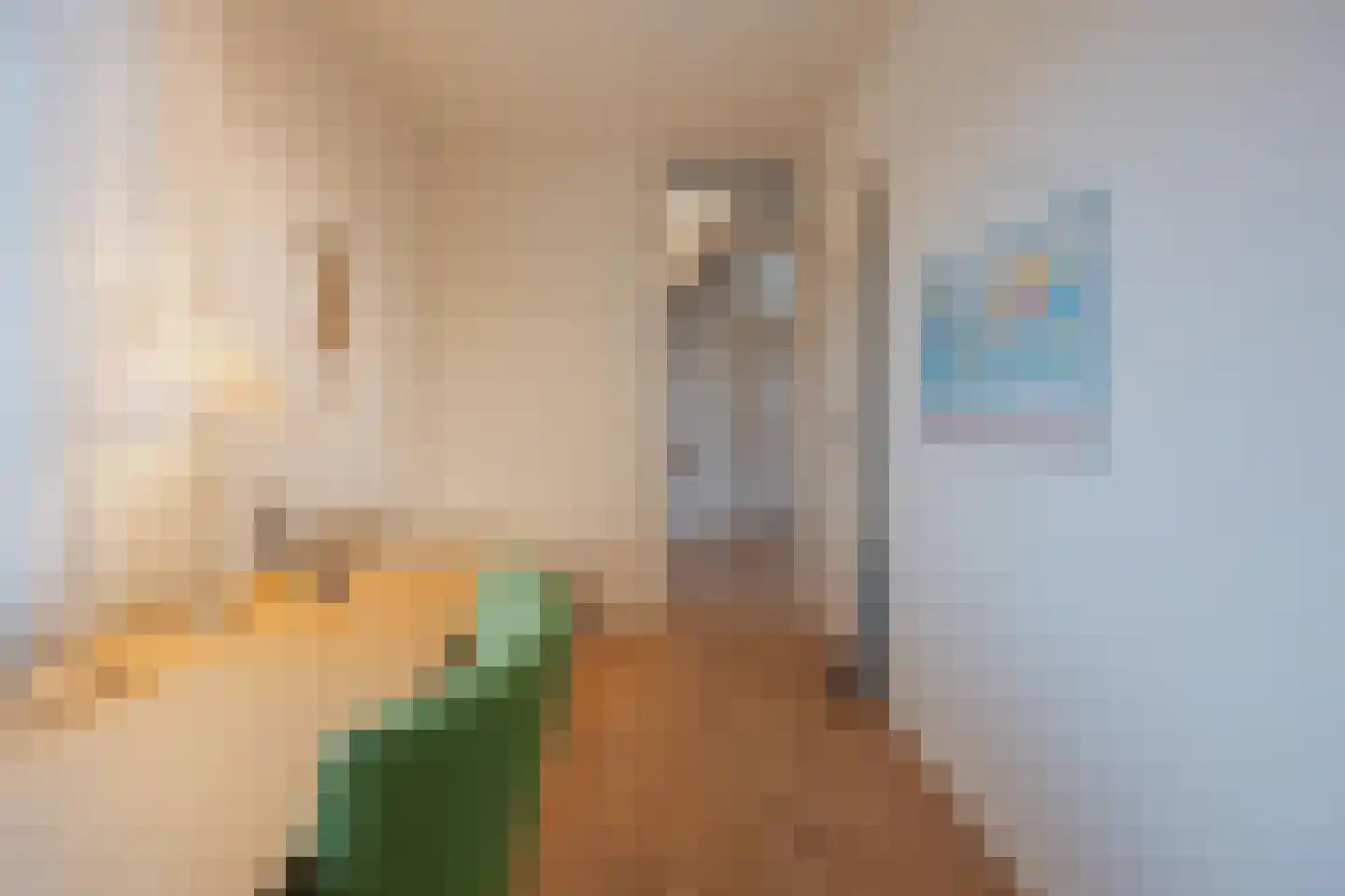 Dokter Jaspershof 5 Geertruidenberg thumbnail 36