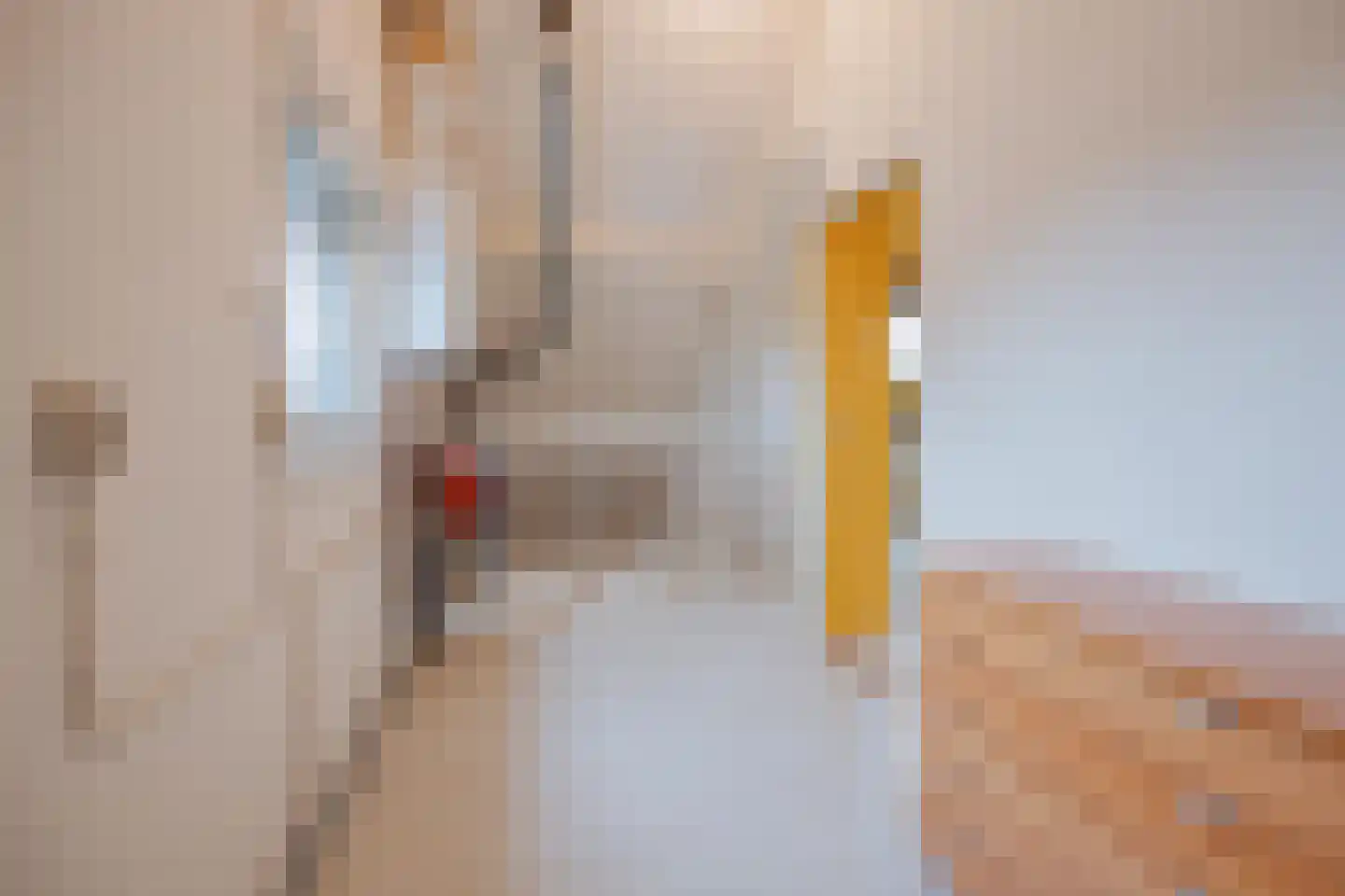 Dokter Jaspershof 5 Geertruidenberg thumbnail 38
