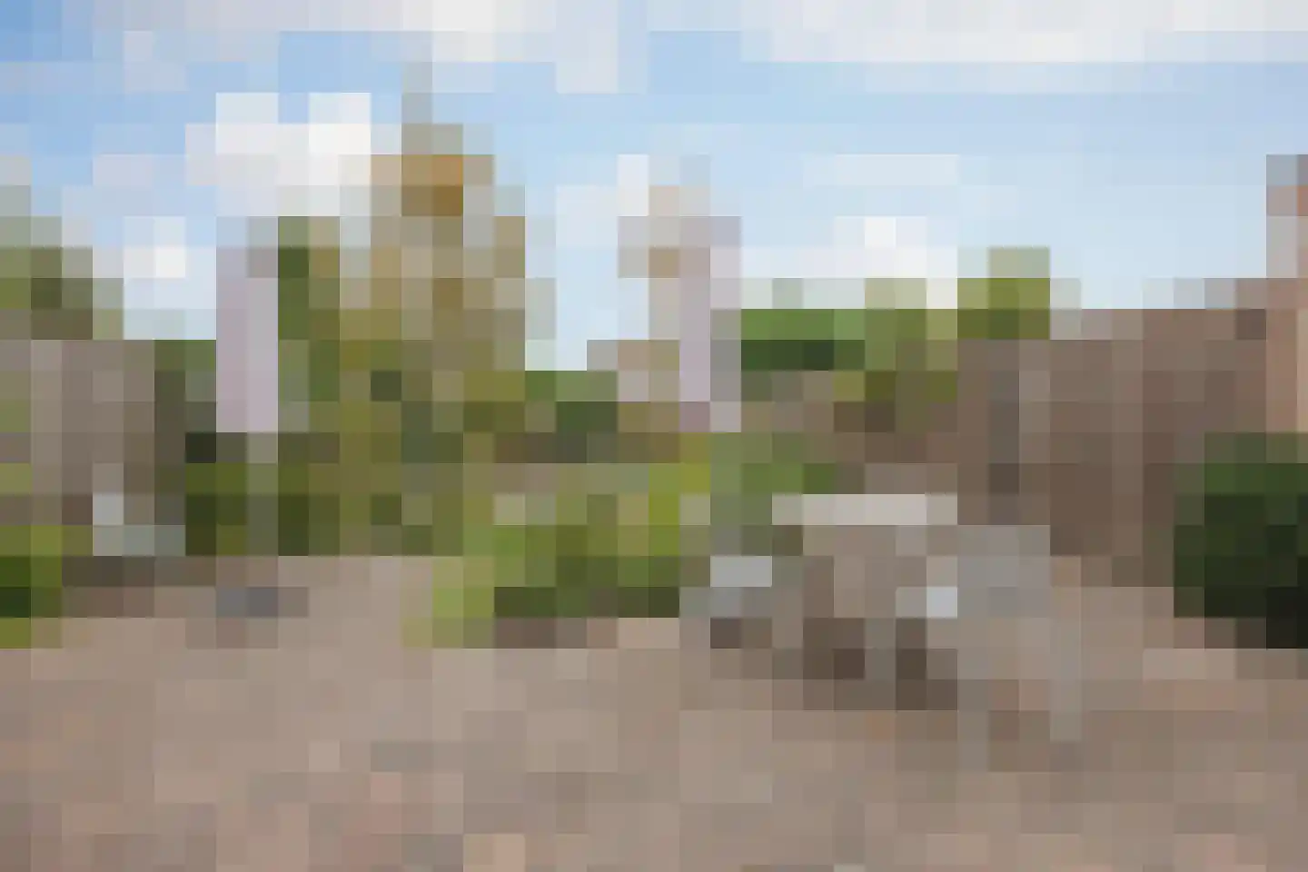 Dokter Jaspershof 5 Geertruidenberg thumbnail 42