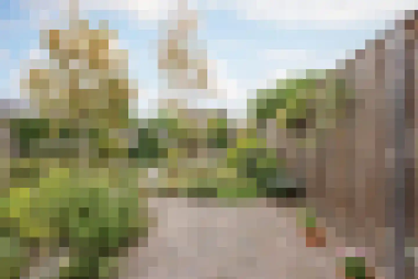 Dokter Jaspershof 5 Geertruidenberg thumbnail 43
