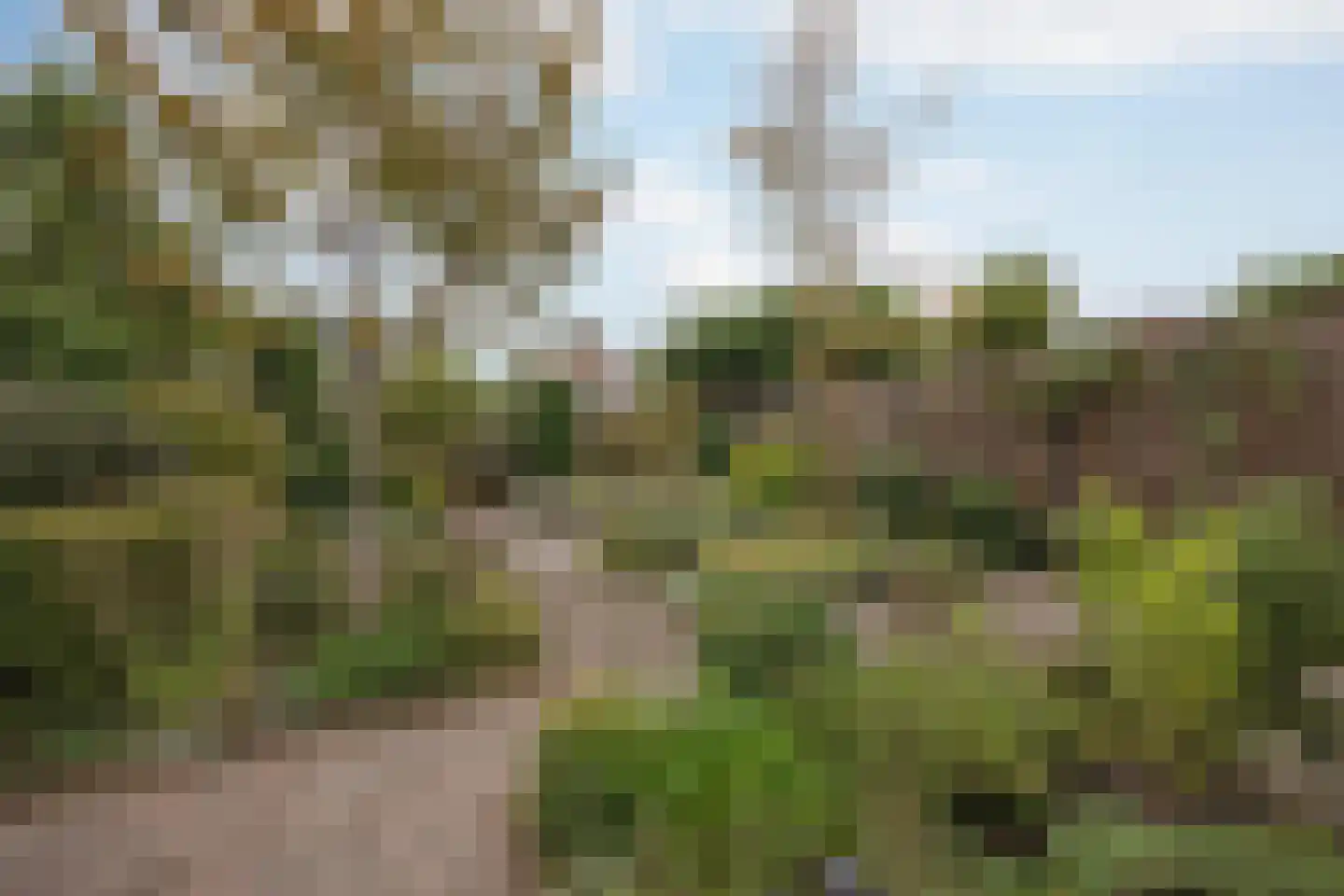 Dokter Jaspershof 5 Geertruidenberg thumbnail 44