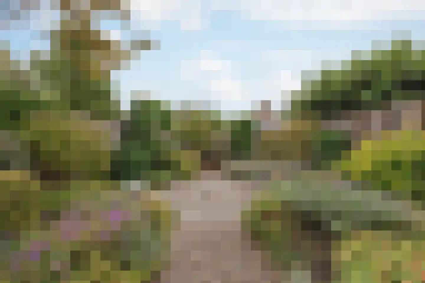 Dokter Jaspershof 5 Geertruidenberg thumbnail 45