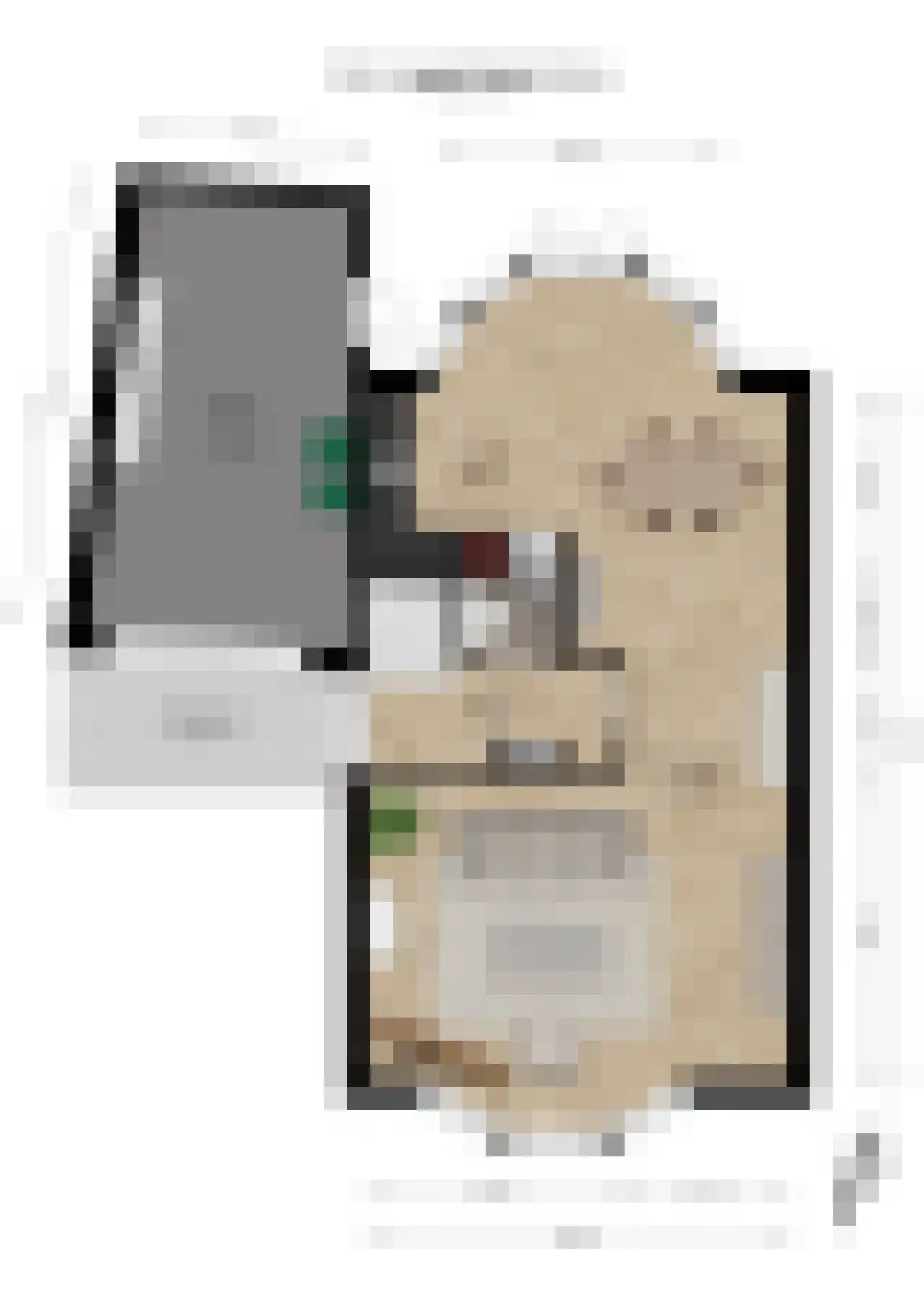 Dokter Jaspershof 5 Geertruidenberg thumbnail 52