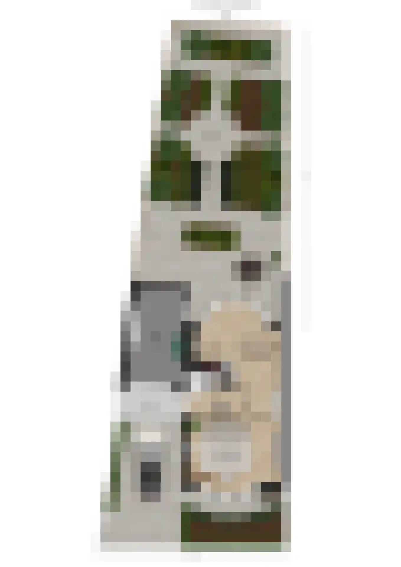 Dokter Jaspershof 5 Geertruidenberg thumbnail 54