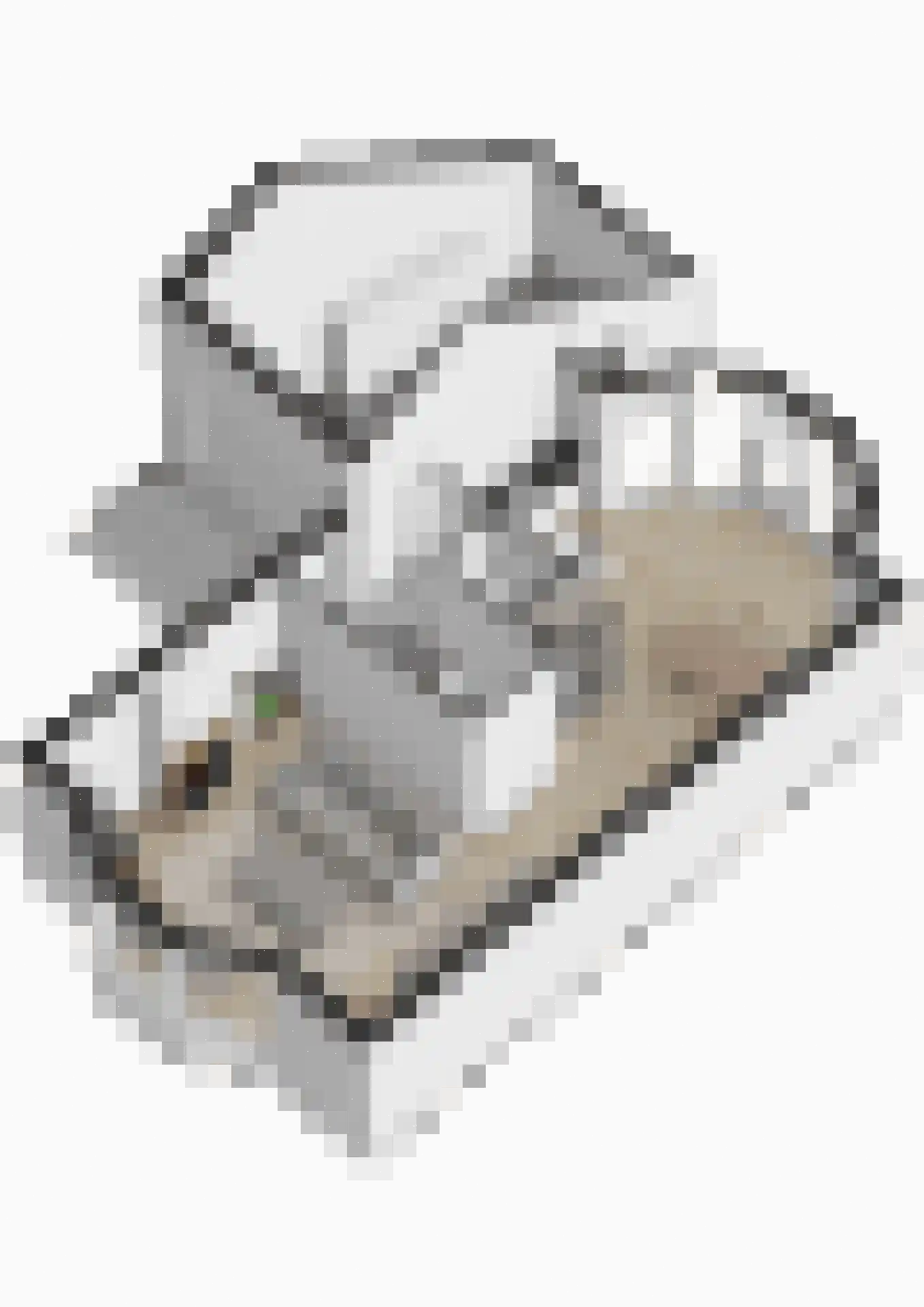 Dokter Jaspershof 5 Geertruidenberg thumbnail 56