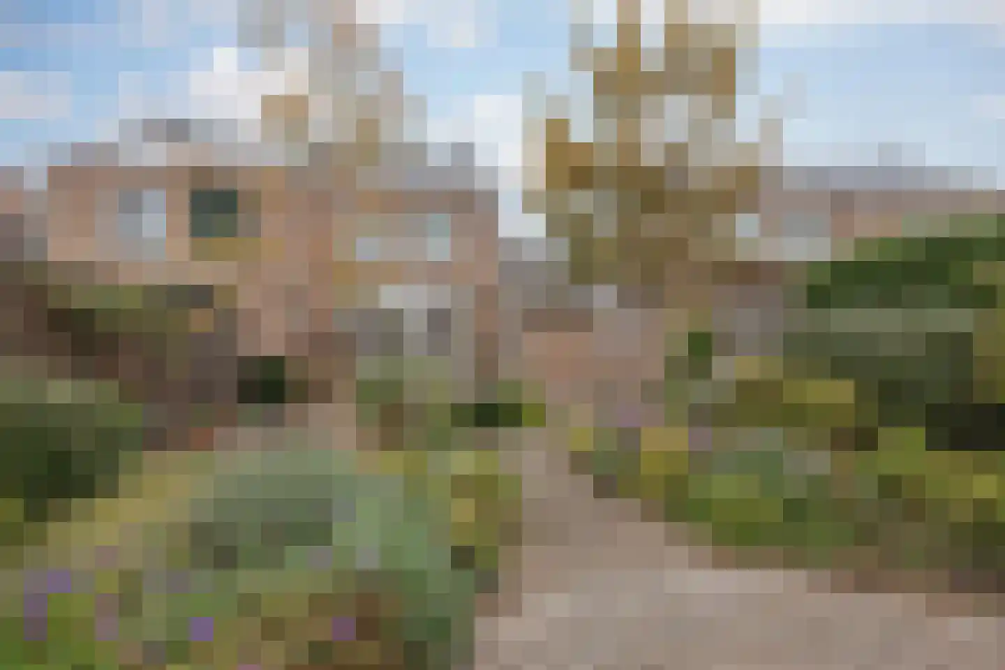 Dokter Jaspershof 5 Geertruidenberg thumbnail 8