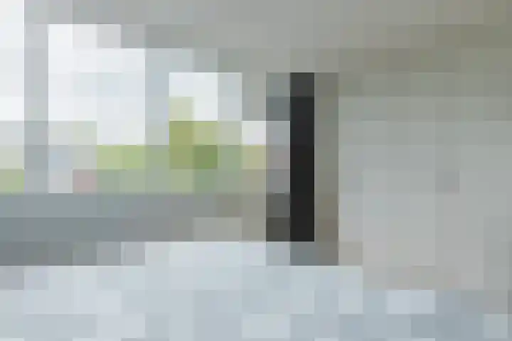 Dokter Kanterslaan 117 Grave thumbnail 18