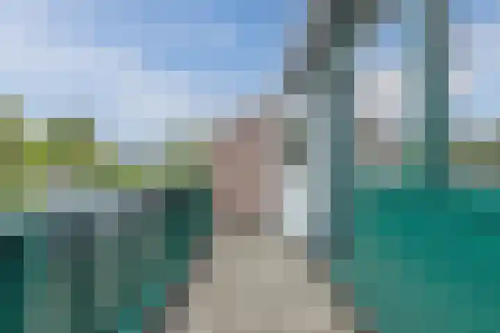 Dokter Kanterslaan 117 Grave thumbnail 19