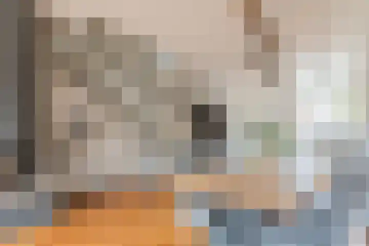 Dokter Kanterslaan 117 Grave foto 2