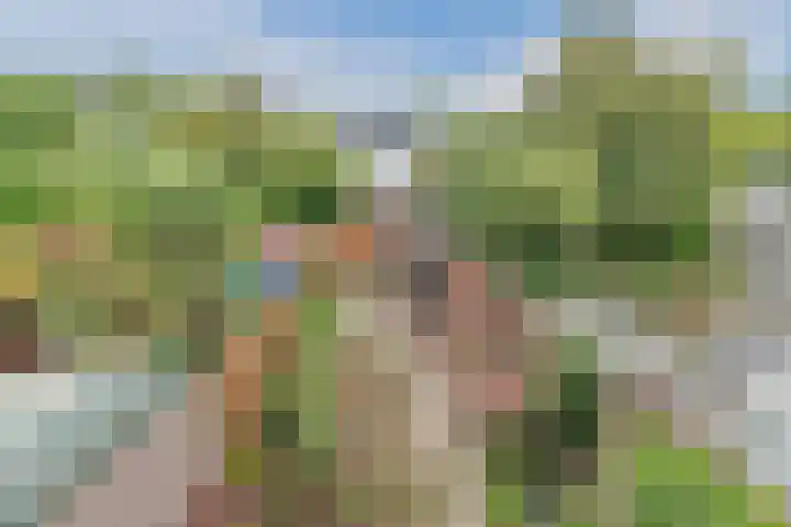 Dokter Kanterslaan 117 Grave thumbnail 20
