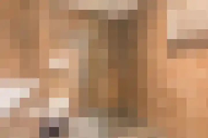 Dokter Kanterslaan 117 Grave thumbnail 23