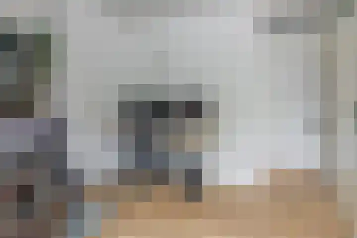 Dokter Kanterslaan 117 Grave thumbnail 26