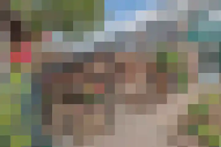 Dokter Kanterslaan 117 Grave thumbnail 28