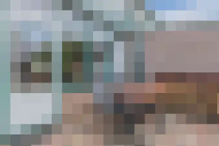 Dokter Kanterslaan 117 Grave thumbnail 29