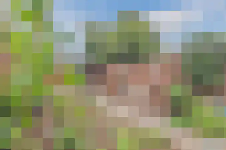 Dokter Kanterslaan 117 Grave thumbnail 30