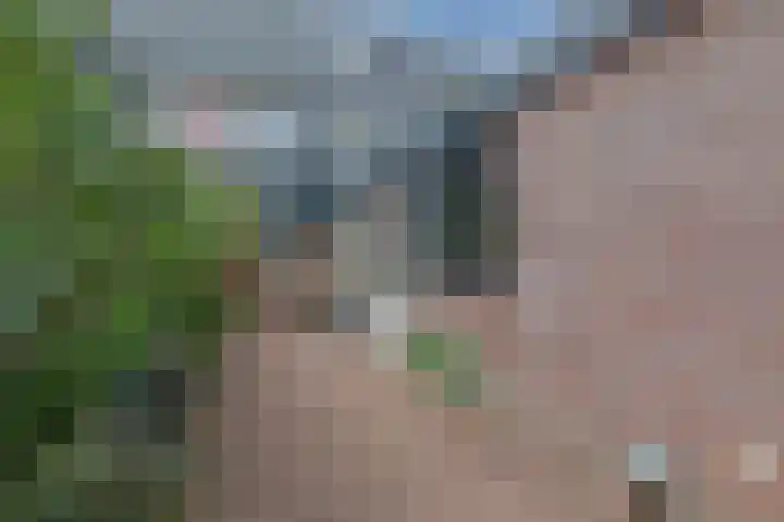 Dokter Kanterslaan 117 Grave thumbnail 37