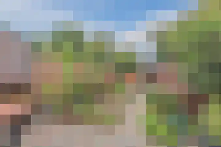 Dokter Kanterslaan 117 Grave thumbnail 5