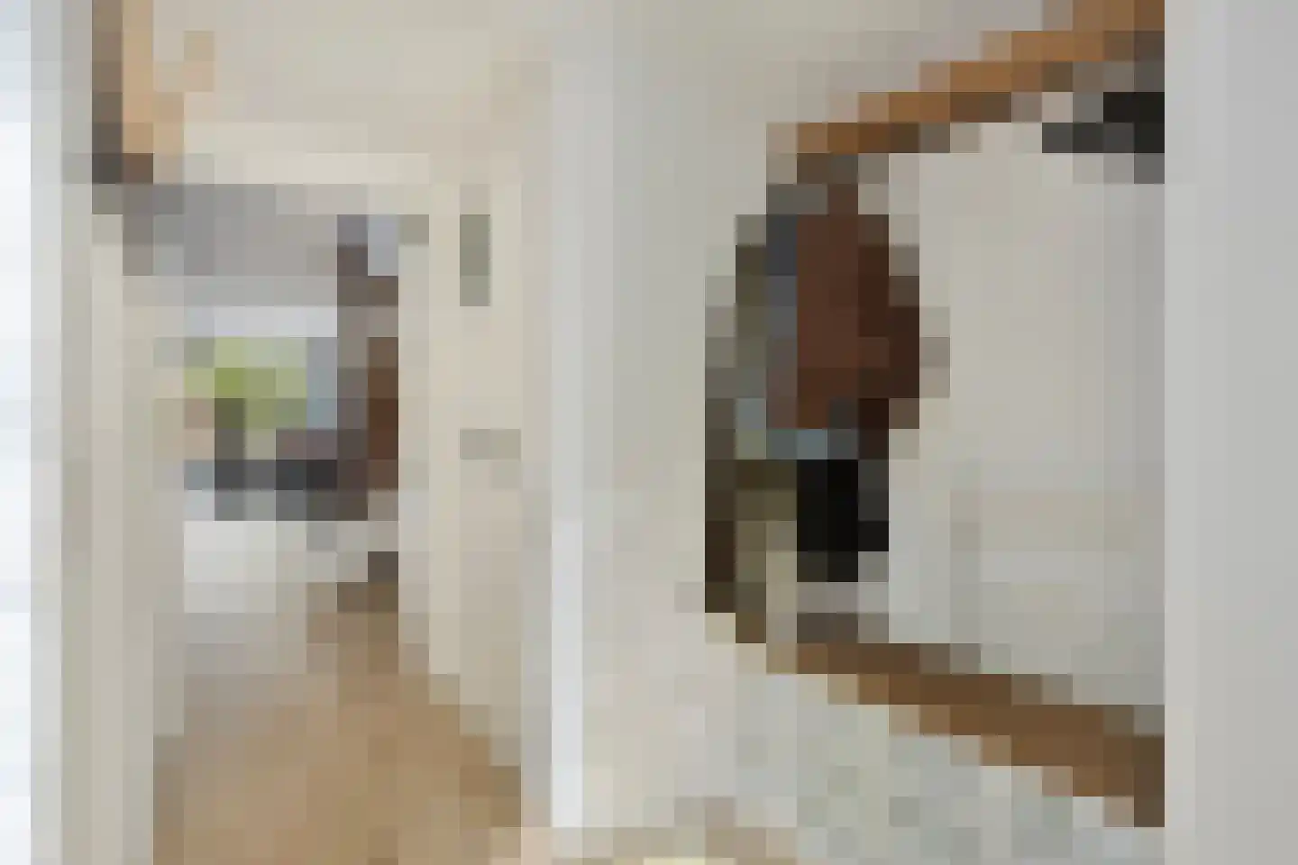 Dokter Kanterslaan 121 Grave thumbnail 10