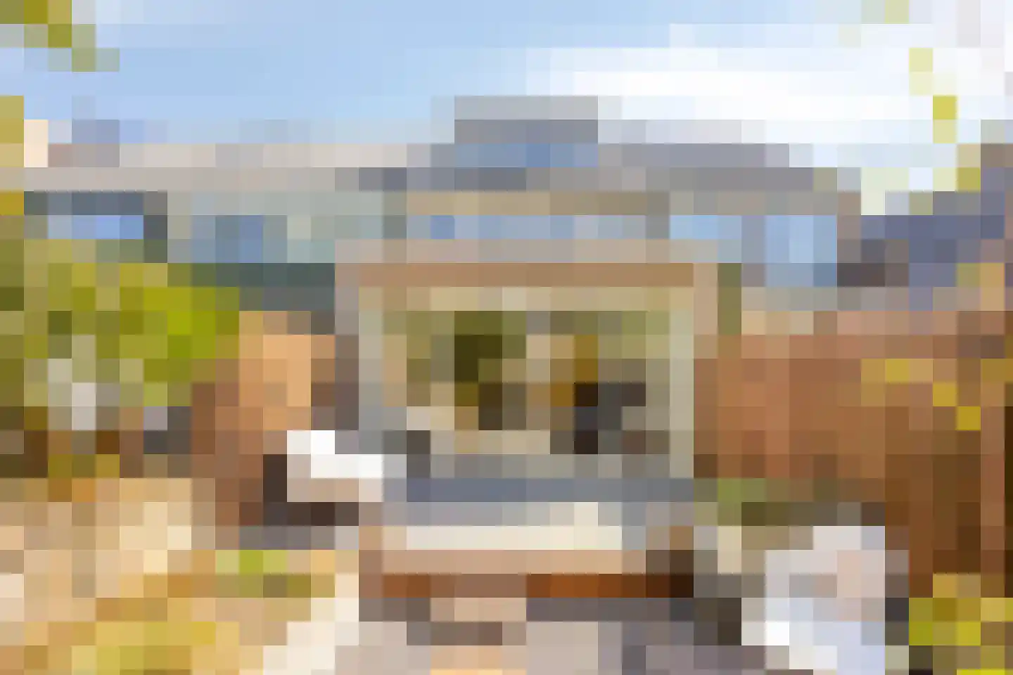 Dokter Kanterslaan 121 Grave thumbnail 25