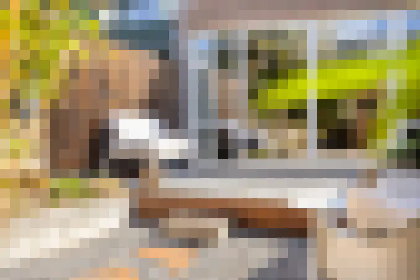 Dokter Kanterslaan 121 Grave thumbnail 28