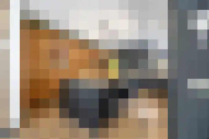 Dokter Kanterslaan 135 Grave thumbnail 11