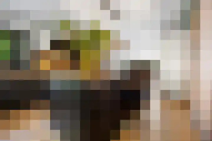 Dokter Kanterslaan 135 Grave thumbnail 15