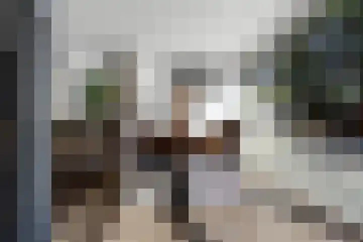 Dokter Kanterslaan 135 Grave thumbnail 17