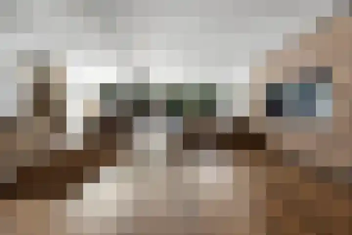 Dokter Kanterslaan 135 Grave thumbnail 19