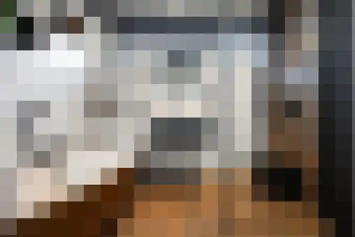Dokter Kanterslaan 135 Grave foto 2