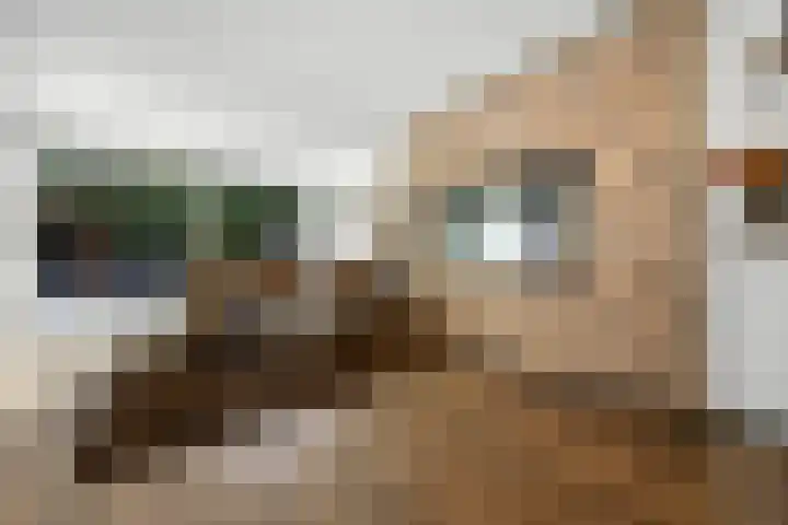 Dokter Kanterslaan 135 Grave thumbnail 20