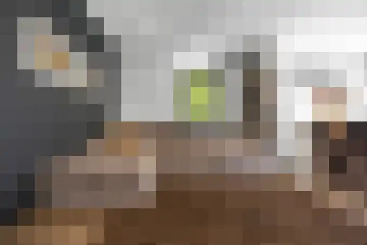 Dokter Kanterslaan 135 Grave thumbnail 21