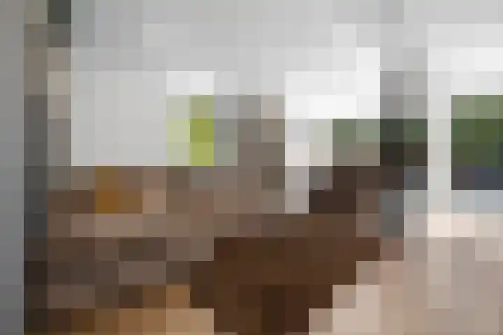 Dokter Kanterslaan 135 Grave thumbnail 22