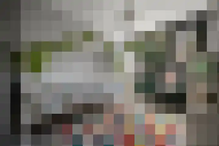 Dokter Kanterslaan 135 Grave thumbnail 26
