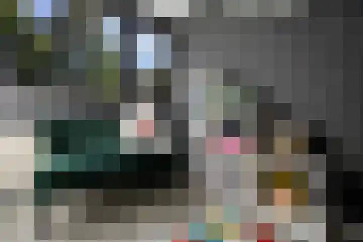 Dokter Kanterslaan 135 Grave thumbnail 27
