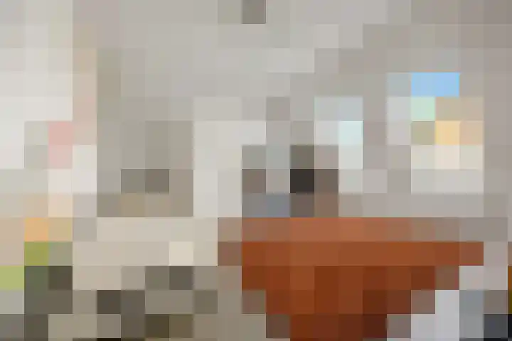 Dokter Kanterslaan 135 Grave thumbnail 28