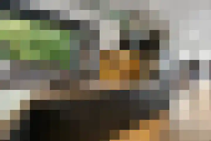 Dokter Kanterslaan 135 Grave foto 3
