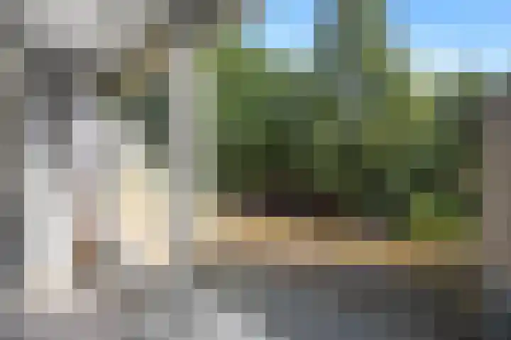 Dokter Kanterslaan 135 Grave thumbnail 34