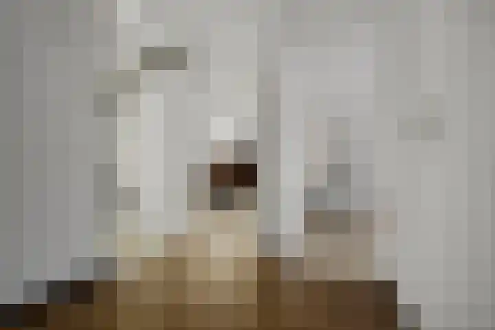 Dokter Kanterslaan 135 Grave thumbnail 35