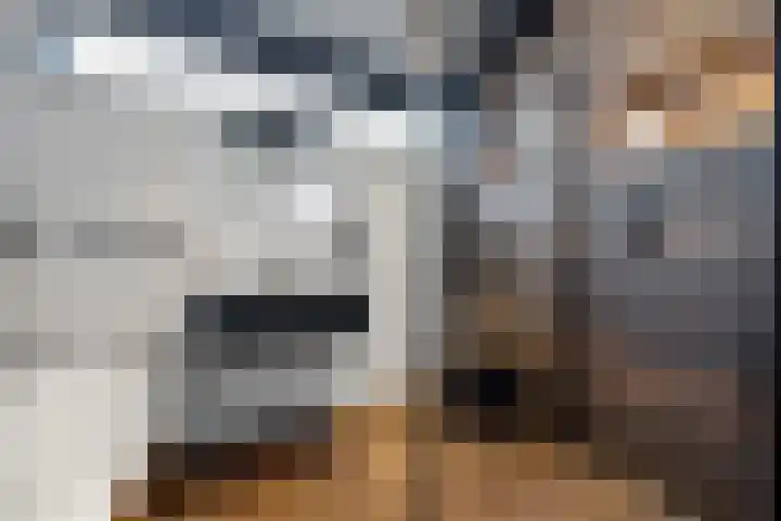 Dokter Kanterslaan 135 Grave thumbnail 36