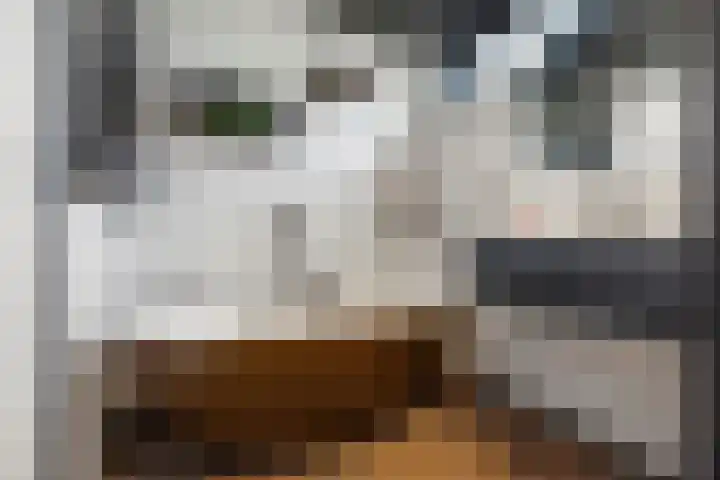 Dokter Kanterslaan 135 Grave thumbnail 37