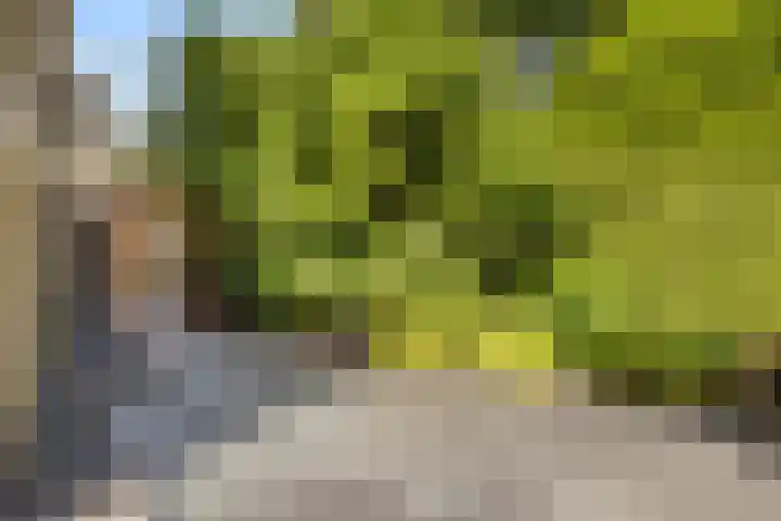 Dokter Kanterslaan 135 Grave thumbnail 48