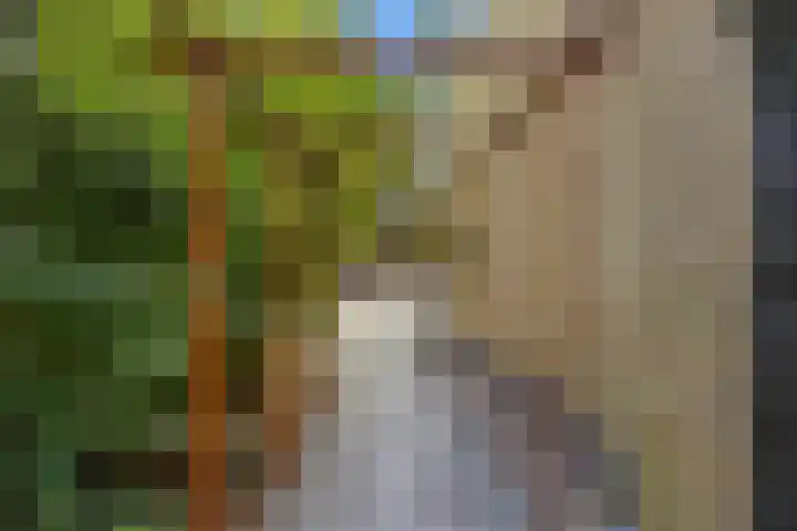 Dokter Kanterslaan 135 Grave thumbnail 49
