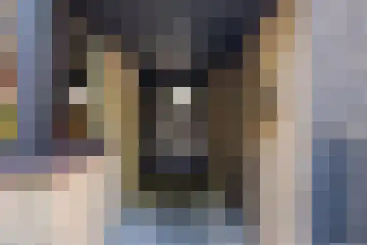 Dokter Kanterslaan 135 Grave thumbnail 5