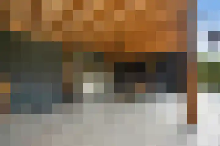 Dokter Kanterslaan 135 Grave thumbnail 51