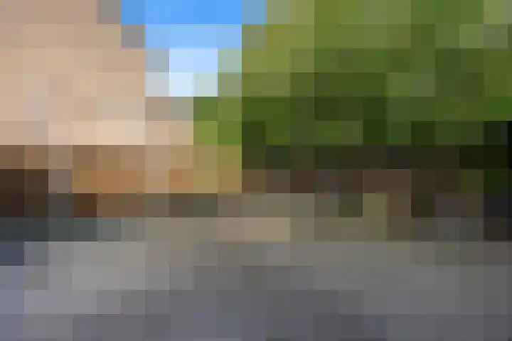 Dokter Kanterslaan 135 Grave thumbnail 52