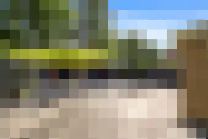 Dokter Kanterslaan 135 Grave thumbnail 53